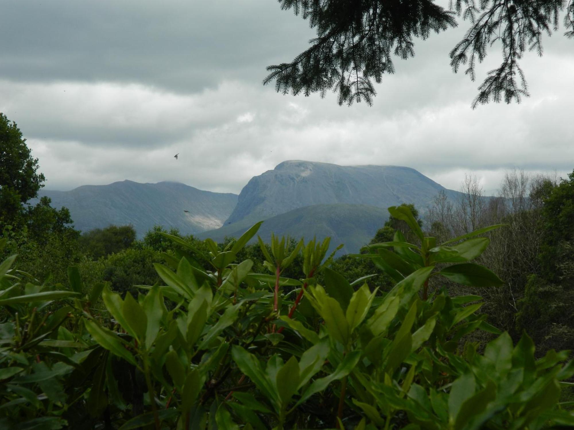 Tom Beag - Ben Nevis View Rooms Fort William Exteriör bild